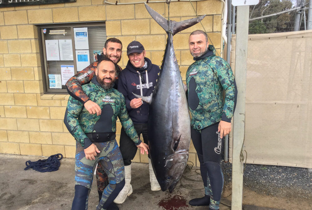 106Kg Bluefin – A great day’s fishing